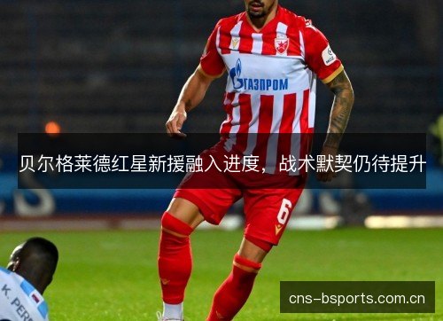贝尔格莱德红星新援融入进度，战术默契仍待提升