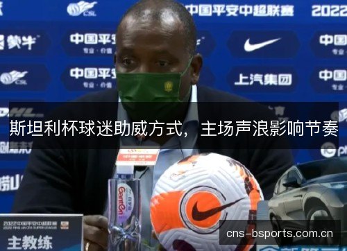 斯坦利杯球迷助威方式，主场声浪影响节奏